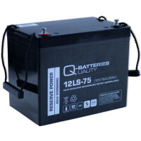 RZB 67000.0.243 Ersatzakku-Set 18x 12V 75Ah A