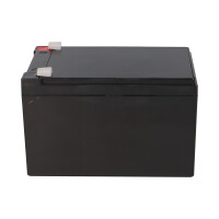 NPP NP12-12 AGM Akku 12V 12Ah – passend für USV, 