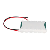 Notleuchten-Akku 7,2V 4,0Ah NiMH F1x6 | F61NIMH4000 4