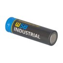 10x WSB Industrial IFR 14500 AA Solar Akku LiFePO4 3,2V 600mAh