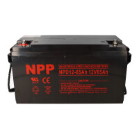 NPP NPD12-65 AGM Deep-Cycle Blei gallery 6_2nd