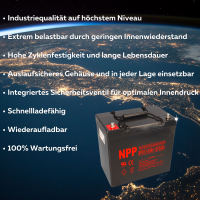 NPP Blei-Akku AGM NPD 12-55 12V 55Ah zyklenfest 3