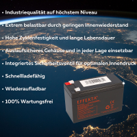 24V Akku-Satz 2x Effekta BT 12-9 gallery 3_2nd