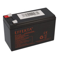 24V Akku-Satz 2x Effekta BT 12-9,5K 12V 9,5Ah – passen