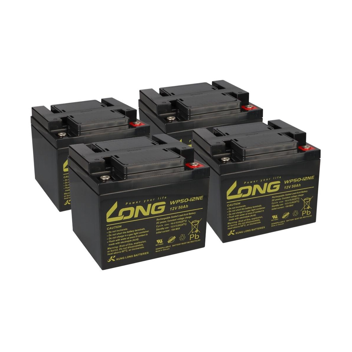 Ersatzakku-Set 48V 50Ah mit 4x Kung Long WP50-12NE für E-Rex 1500