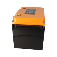 LIONTRON LiFePO4 Akku 12,8V 200Ah LXArctic Smart BMS mit Blu