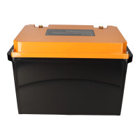 LIONTRON LiFePO4 Akku 12,8V 200Ah LXArctic Smart BMS mit Blu