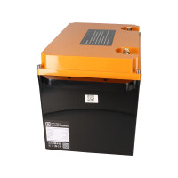 LIONTRON LiFePO4 Akku 12,8V 200Ah LXArctic Smart BMS mit Blu